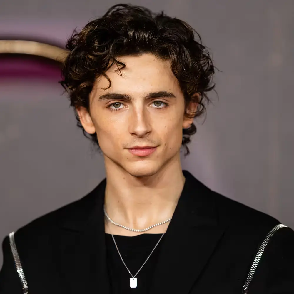 Timothée Chalamet profile